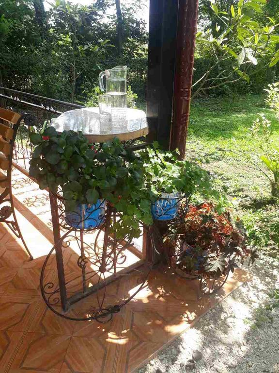 מרטווילי Guest House Danelia מראה חיצוני תמונה